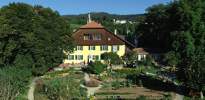 JONCHERE-VENTE-SPECIALE